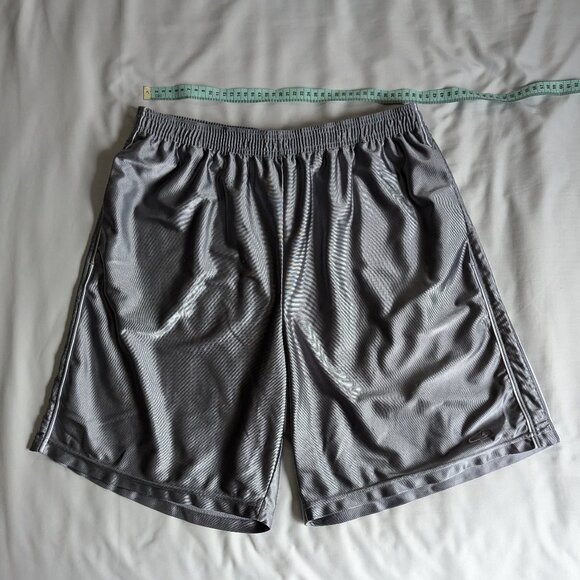 Silver Champion Dazzle Shorts - Picture 1 of 4